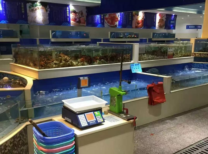 生活超市海鮮池19.jpg