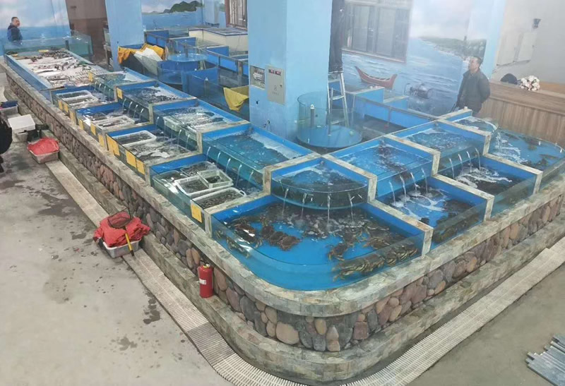 生活超市海鮮池4.jpg