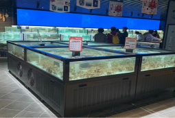 廣州永輝超市定做魚(yú)池，超市貝殼魚(yú)缸尺寸，蝦蟹魚(yú)池定做