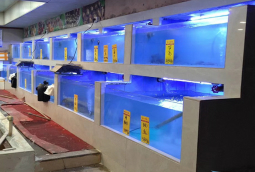 廣州酒家定做海鮮池，東江海鮮酒樓海鮮池設(shè)計(jì)，酒店海鮮池造價(jià)